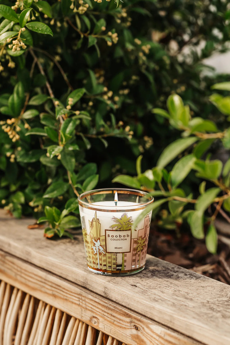 BAOBAB COLLECTION - Scented Candle - My First Baobab Miami