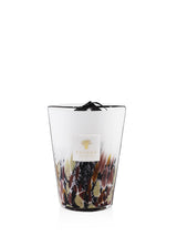 BAOBAB COLLECTION - Scented Candle - Rainforest Tanjung